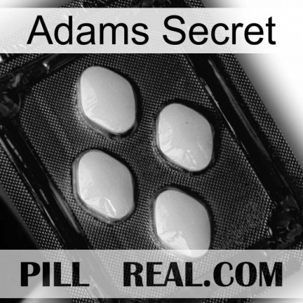 Adams Secret 04